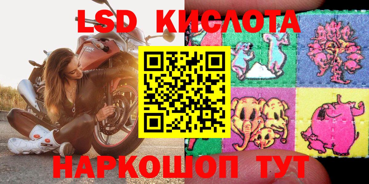 Галлюциногенные грибы Осинники