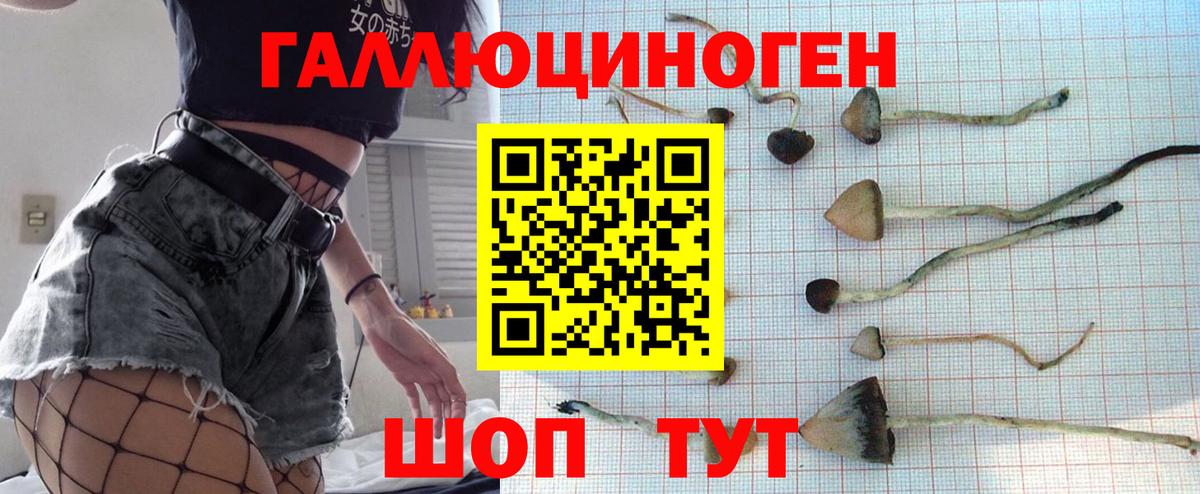 Псилоцибиновые грибы мицелий Осинники