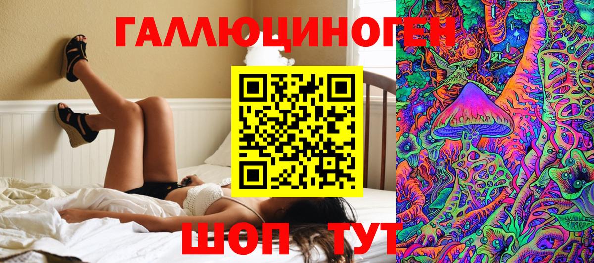 Псилоцибиновые грибы прущие грибы  Вход с VPN  Осинники 